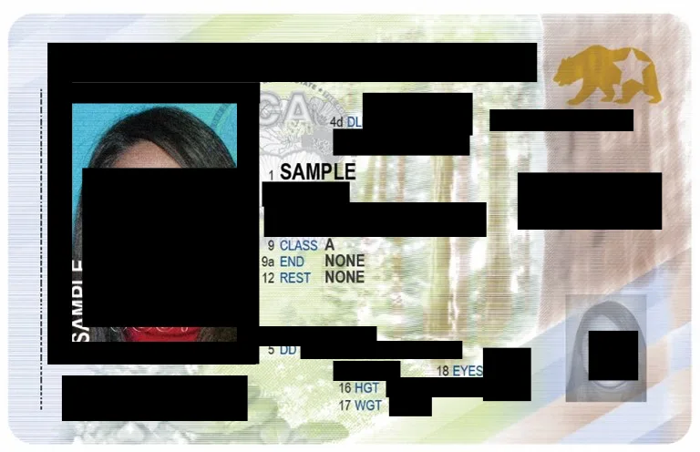 A driver's licence with the name, address, date of birth, licence number, signature and photo blacked out; the state seal and the word SAMPLE remain.